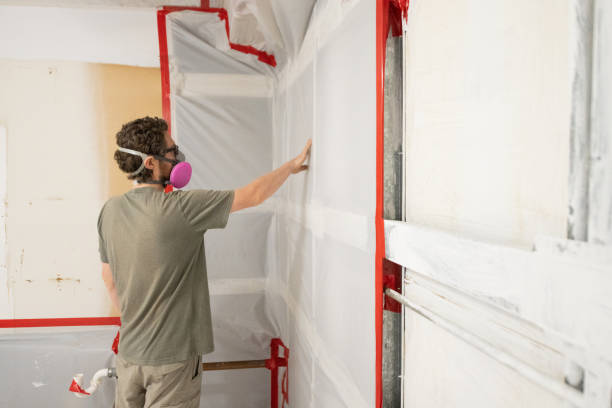Best Crawl Space Mold Remediation  in Montebello, NY