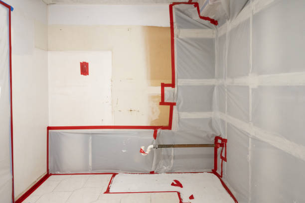 Best Comprehensive Air Testing for Mold Contaminants  in Montebello, NY