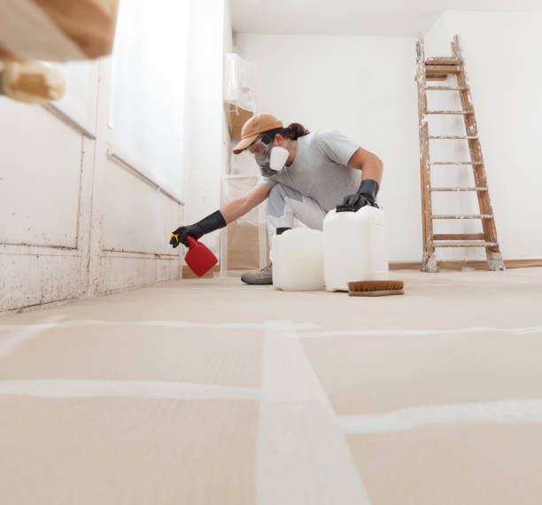 Professional Mold Removal in Montebello, NY