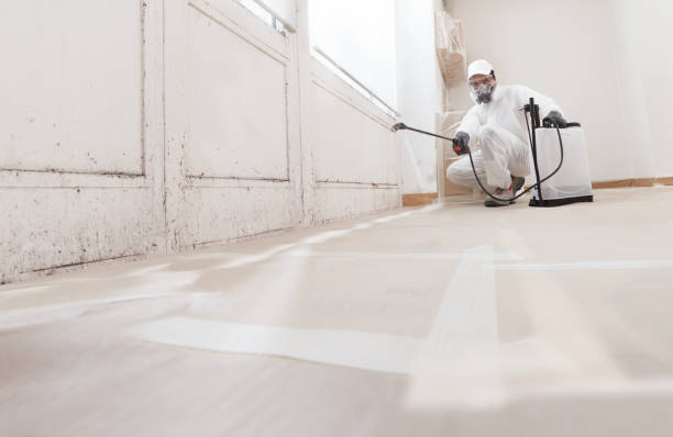 Asbestos and Lead Testing During Mold Inspection in Montebello, NY